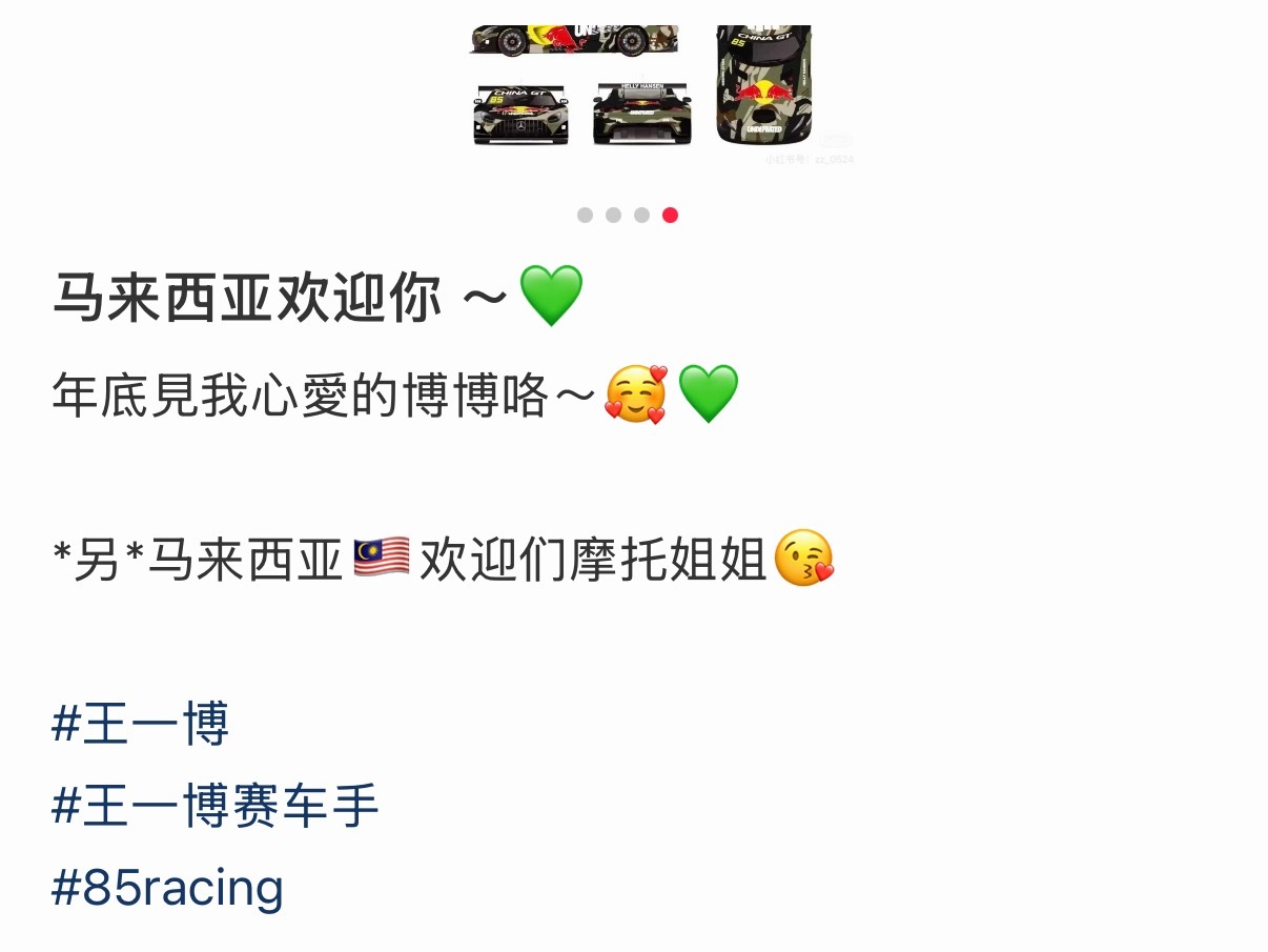 王一博与毛骏豪（Melvin Moh）将共同搭档驾驭85号赛车出战，马来西亚网友