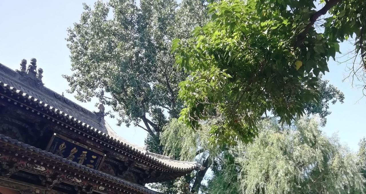 俄罗斯外长拉夫罗夫在接受俄媒体采访时指出，从委内瑞拉到伊朗，美国使用政变、绑架等