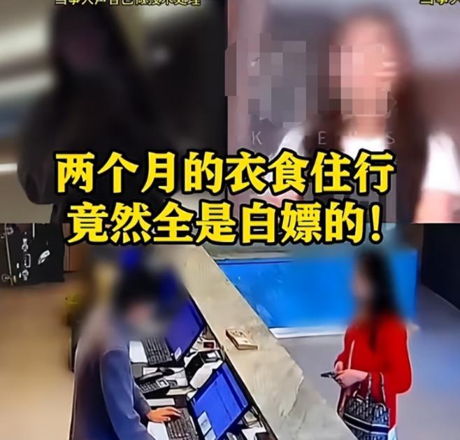 上海白嫖女后续！被抓后仍嚣张，漂亮身材好，难怪男网友愿意买单。蝗虫过境？一白嫖女