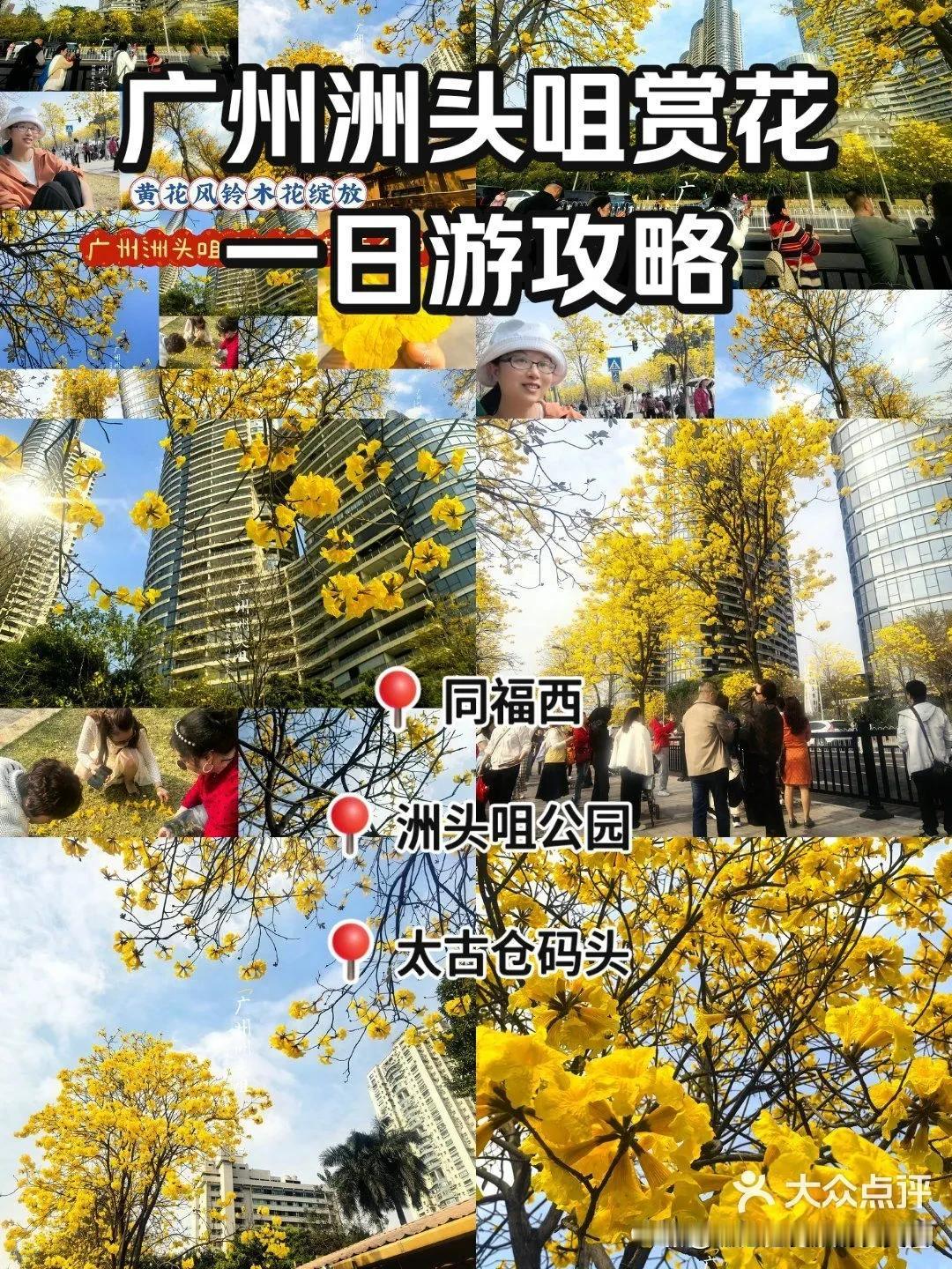 📍地点及交通：广州市海珠区洲头咀公园环岛路，交通超方便！广州地铁8号线同福西路