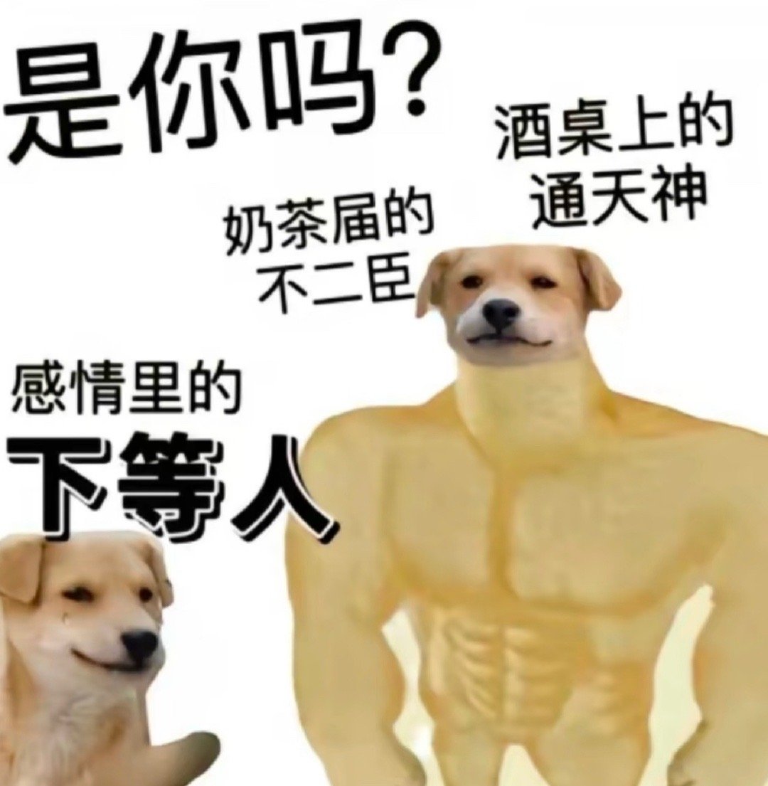 能说出玫瑰的故事是个人人都爱我的故事这辈子才真要在爱海里浮沉了 ​​​