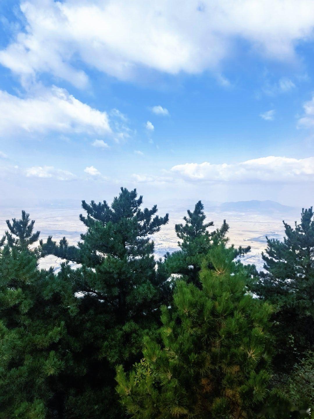 北岳恒山[奶牛猫]  ​​​