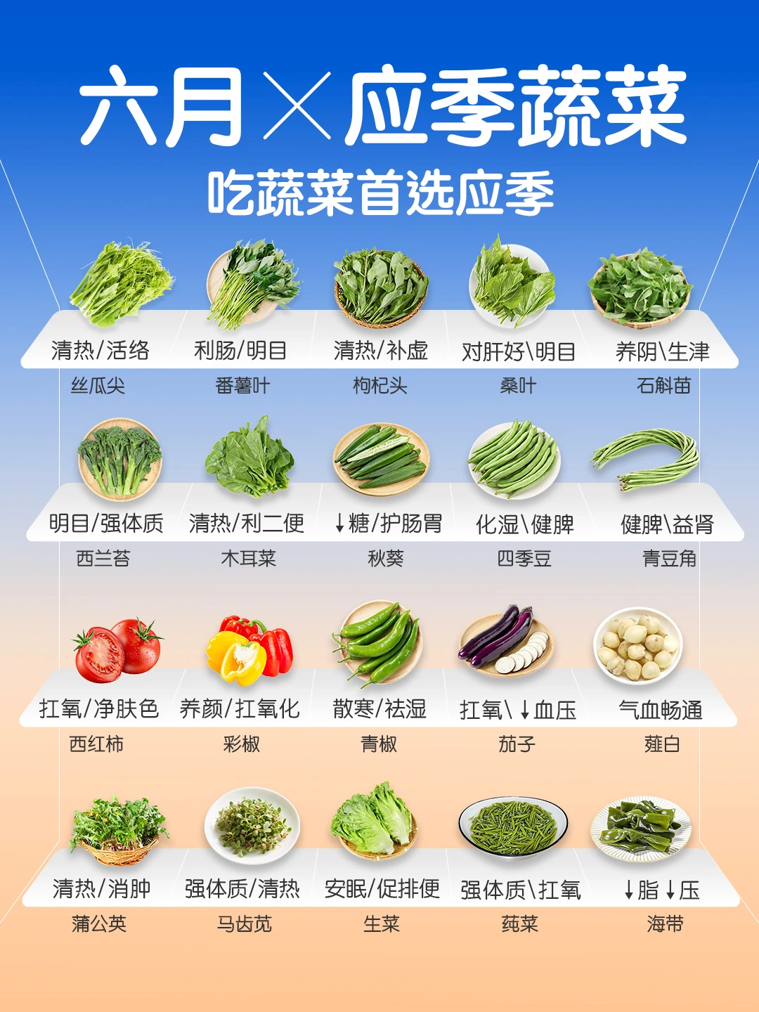 6 🈷️应季蔬菜速查👆｜吃蔬菜首选应季🥬