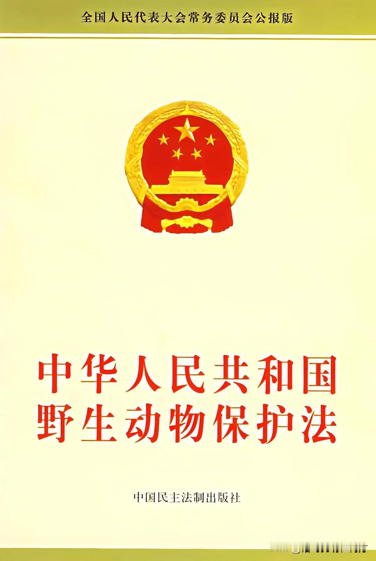 最近两年，经济低迷。有一些网友做了一个不恰当的比喻，拿两部保障法进行了对比。一部