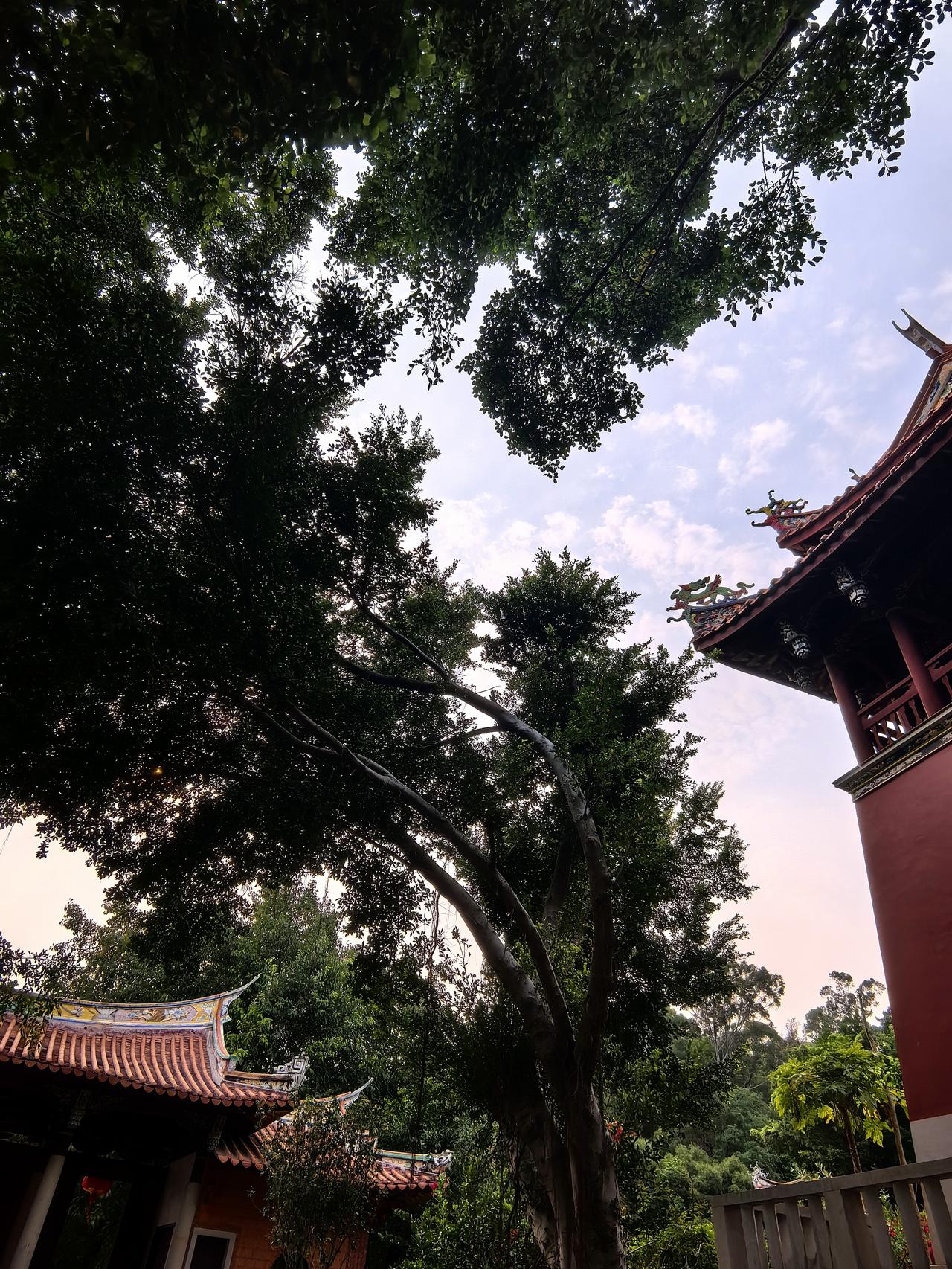 你能不能说出男足一个优点中国男足谁也赢不了！