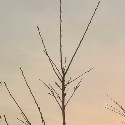每个人的心中都有一道光，那就是自己对未来美好生活的憧憬，现实中也同样有一道光，那