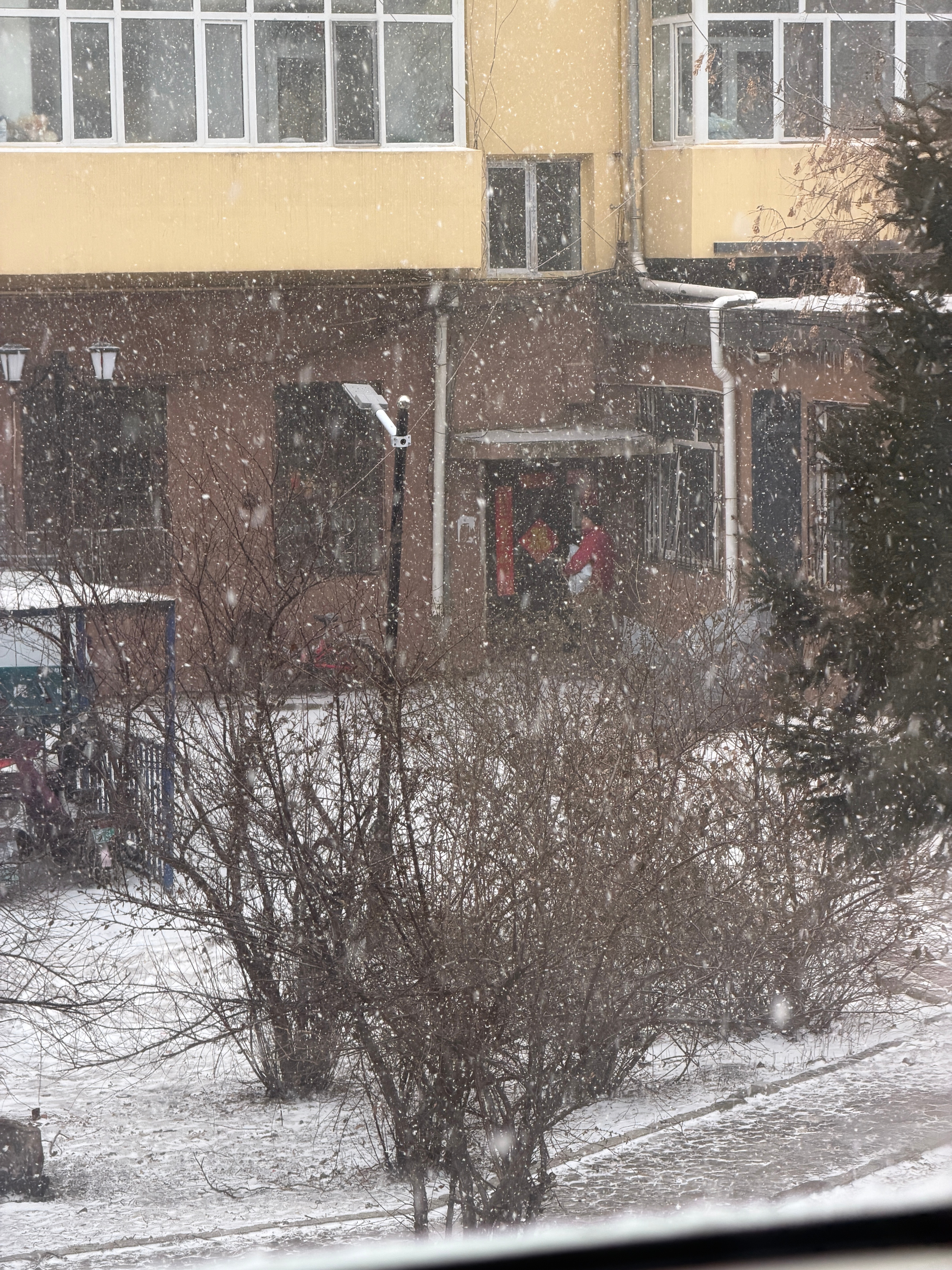 老家开始下雪了，看着都冷，难怪这么多东北人跑去三亚过年……