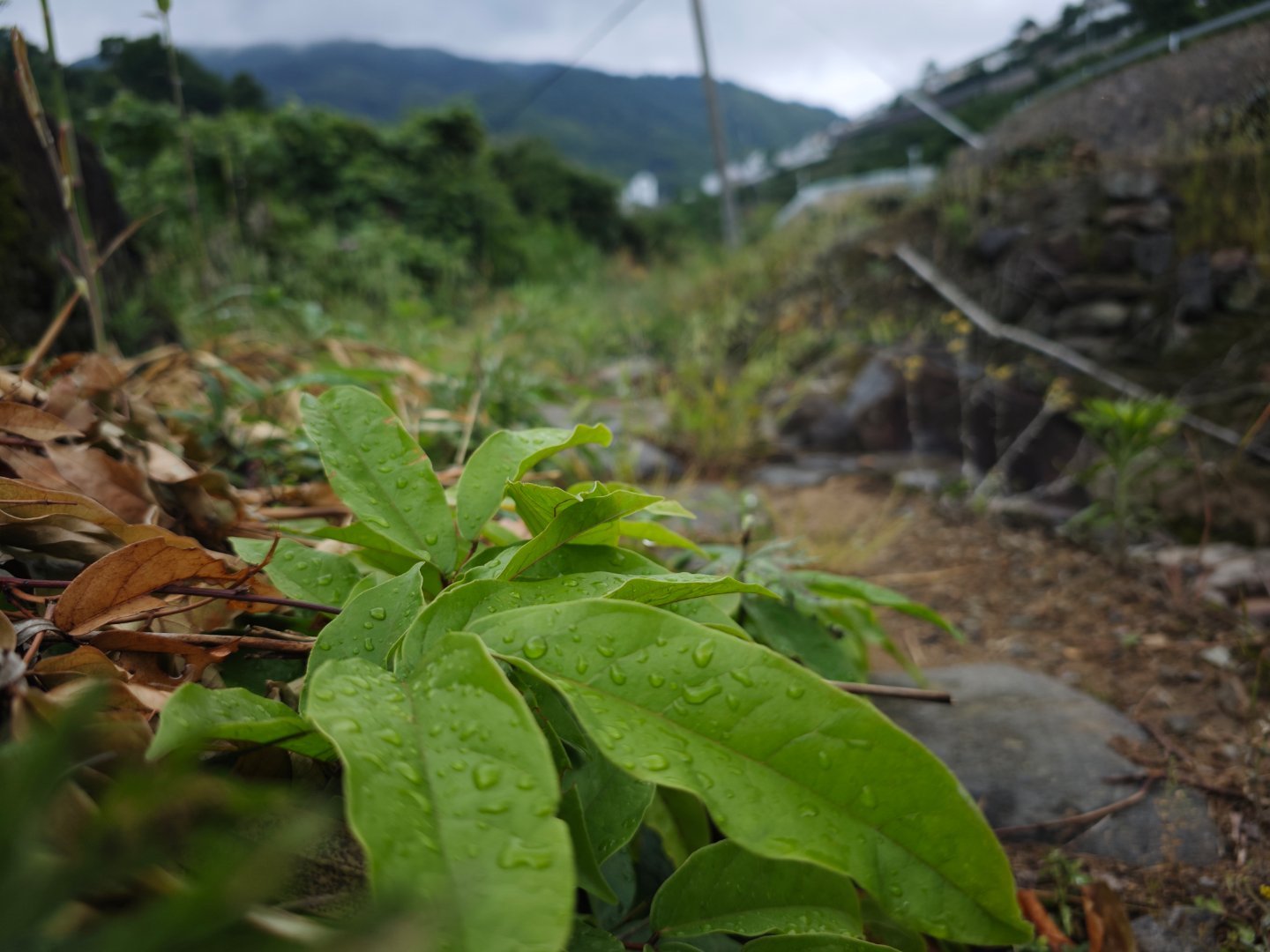 小昆村，一个适合度假的小众旅游区。​​爬山还得智驾和空气悬挂舒服。 ​​​