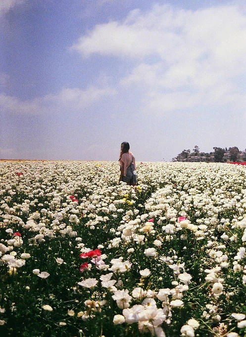 我总相信，在更深更广处，我们要维持着美好的心、欣赏的心，就像是春天想到百合、秋天