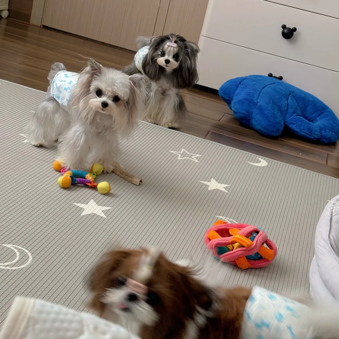 臭小孩儿们
