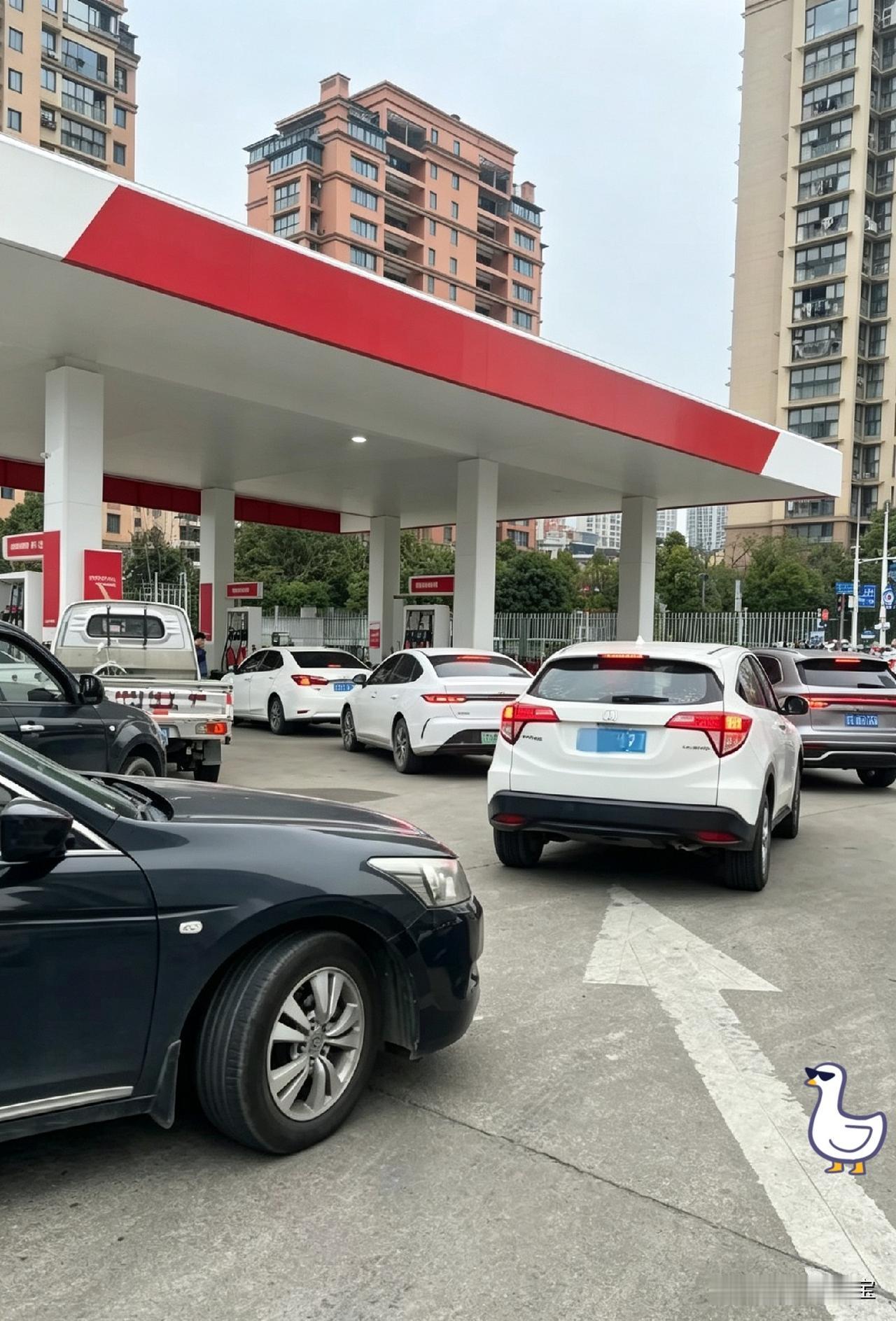 所有油车车主，
今天终于算是熬到头了，
7月4日，油价从8.04每升下调到了
7
