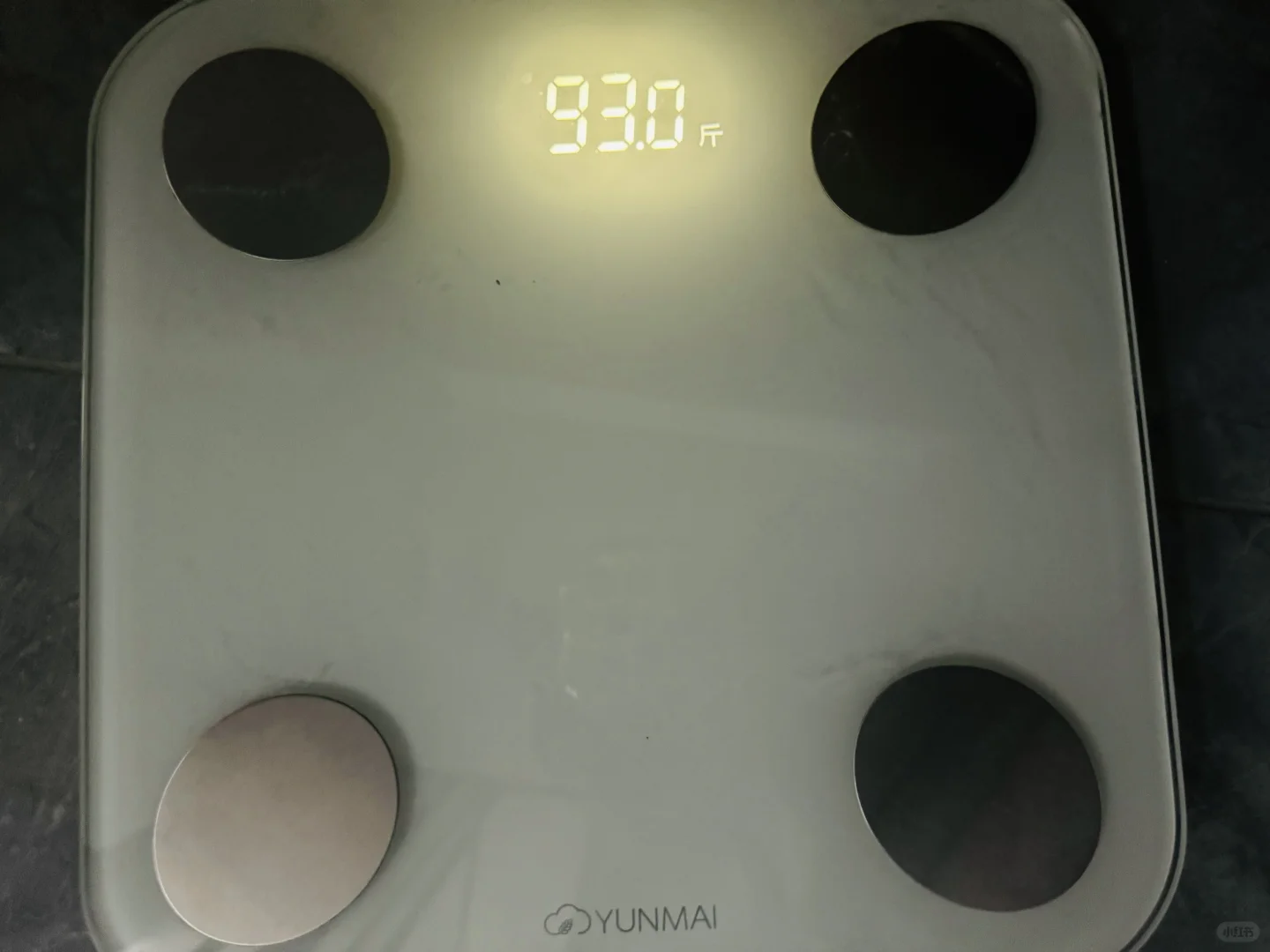 周末plog | 本周日常