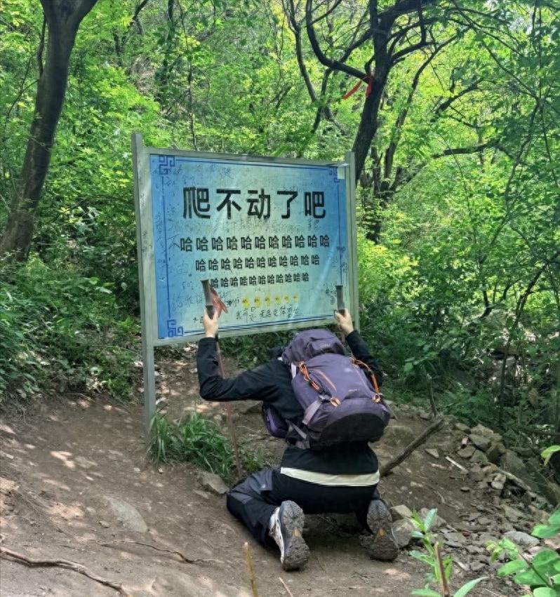 一块写着"爬不动了吧，哈哈哈哈哈"的景区标语牌，居然能让管理方连夜拆除又火速装回