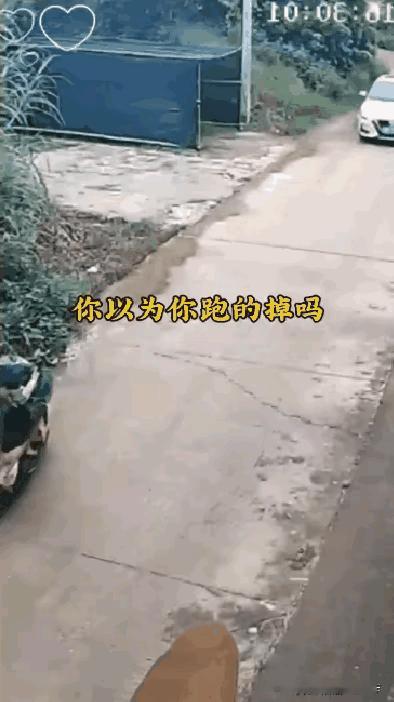 说实话，这个和汽车真的没有关系