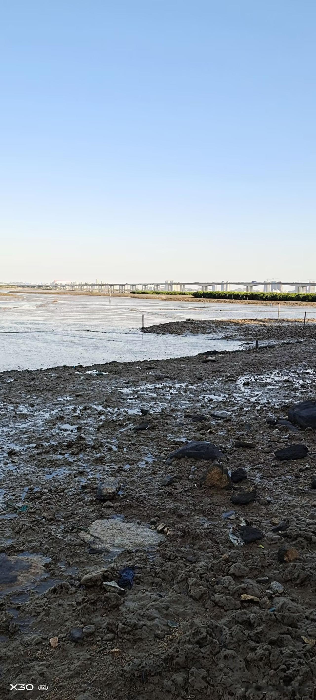 泉州海边简直是宝藏之地！它海岸线超长，大陆海岸线 541 公里排全省第四，海岛海