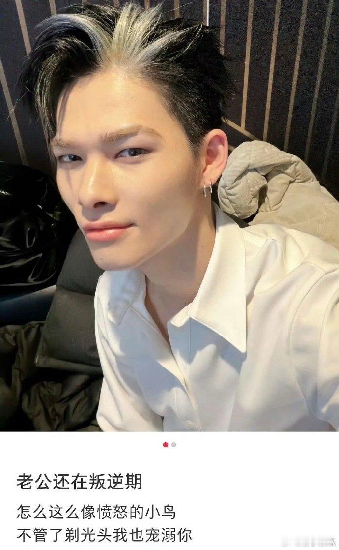 西村力颜值西村力的颜值 西村力颜值，到底谁在溺爱 西村力口碑