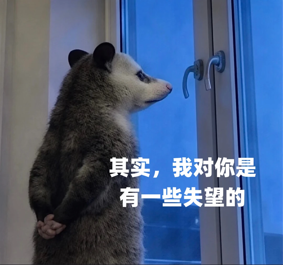 每天在工位的状态就是如此，大厂版负鼠