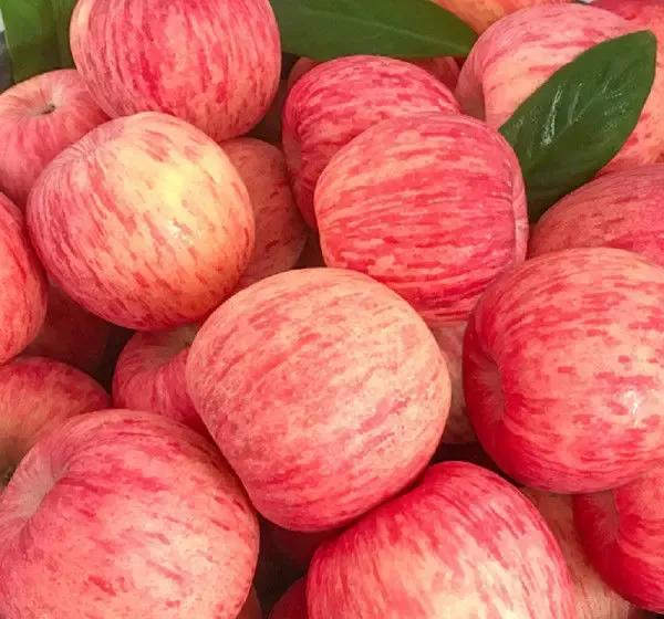 AI不是突然蹦出来的，是靠两个小零件撑起来的——位置编码，让机器知道“谁在前谁在