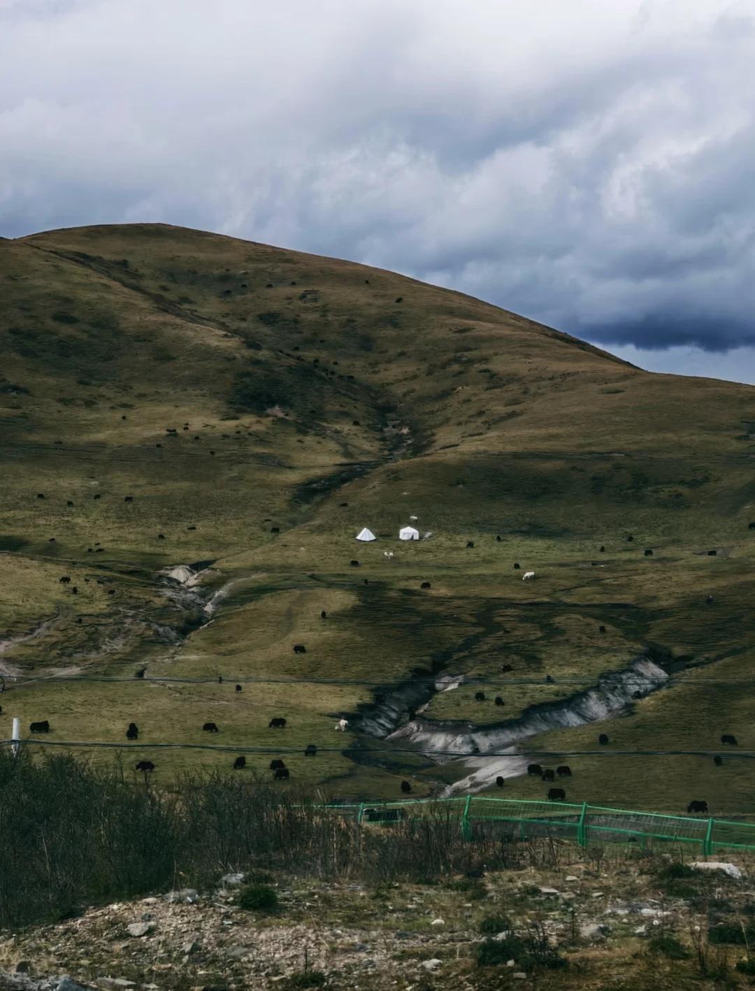 在26岁生日那天，一人自驾莲宝叶则
感谢一路风景与我作伴
莲宝叶则
童话公路