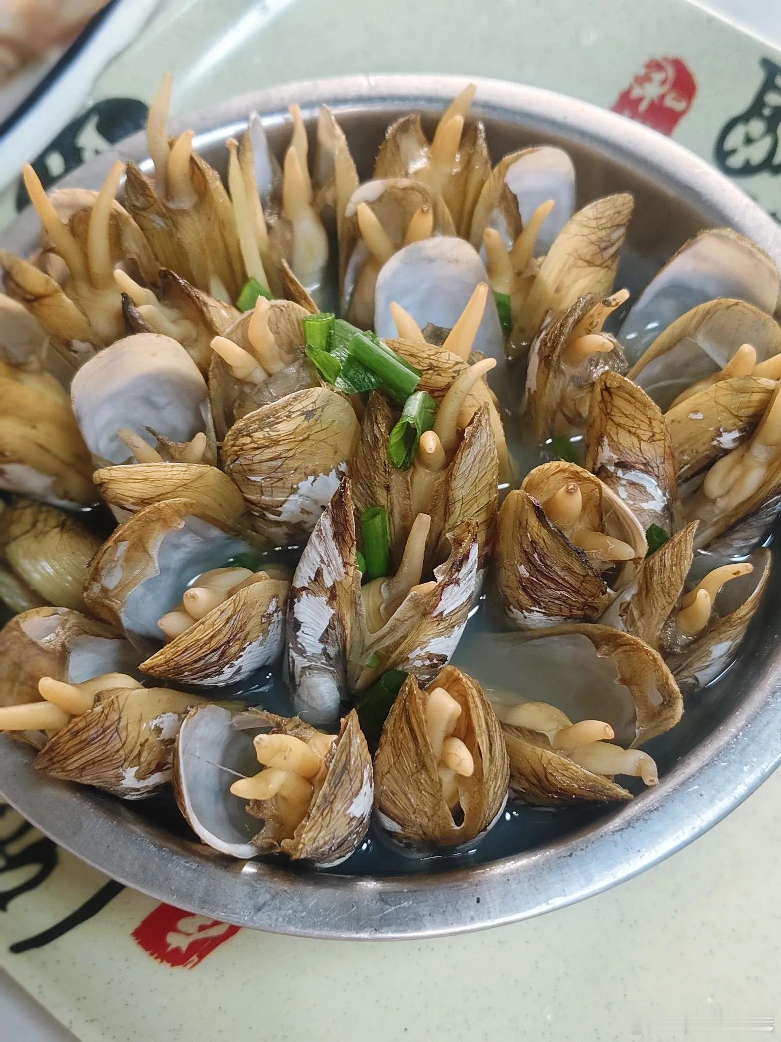 人生苦短，唯有美食能安抚我心。 