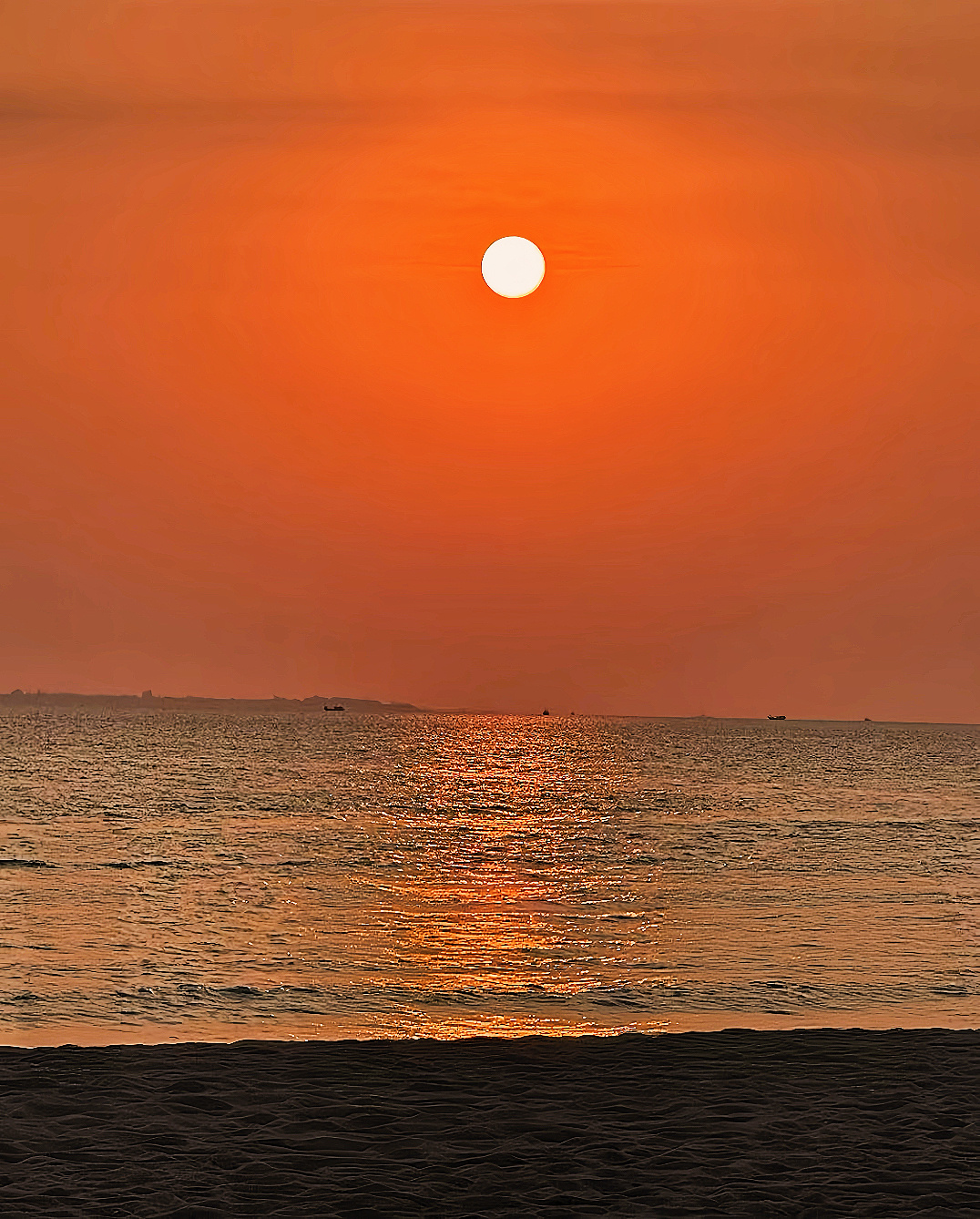 每天没时间看手机真的很幸福。不想回重庆