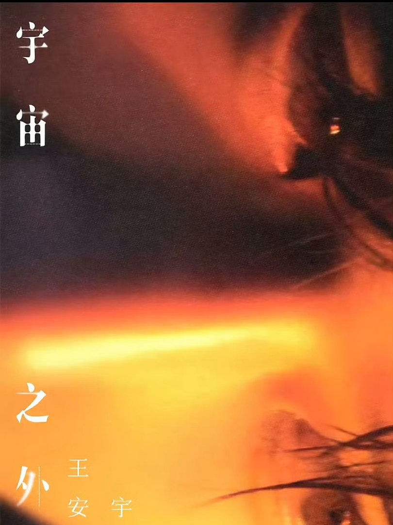 我重庆森林了我2046了我堕落天使了 