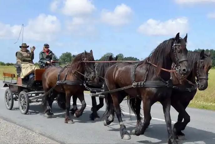 想象一下，三百年前的欧洲街头，一辆装饰华丽的四轮马车辘辘驶过，车厢上镀着黄金，车