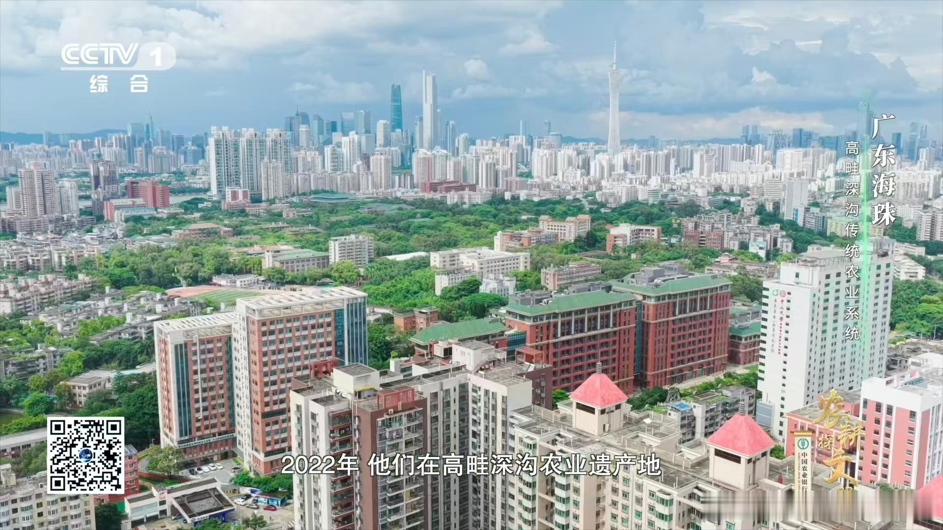 广东近年发现多个新物种哇！广东海珠高畦深沟传统农业系统里竟然藏着比芝麻还小的海珠