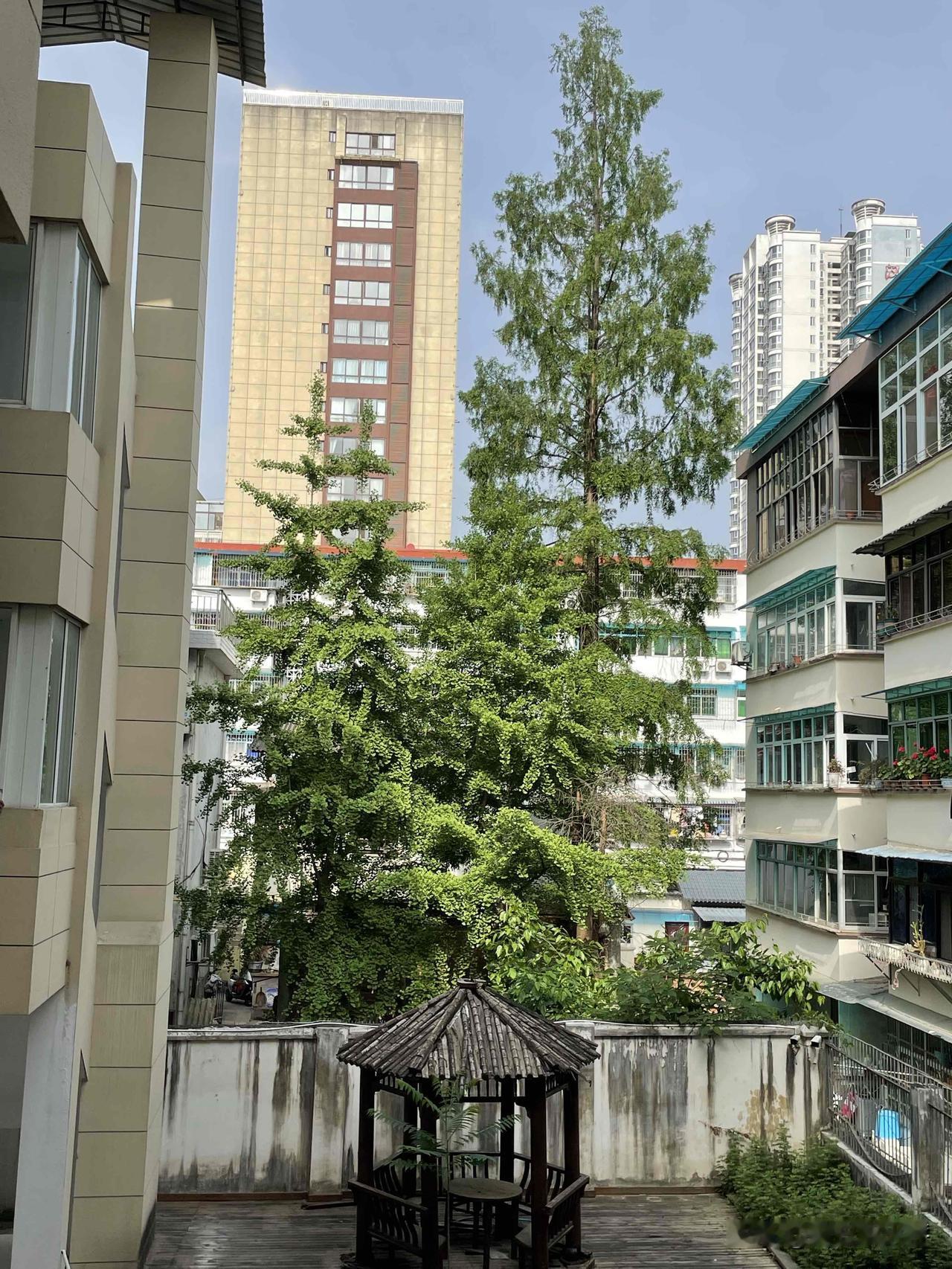 色彩斑斓的自然美景大自然，是个色彩斑斓的世界，春天里，绿树成荫，花开的季节，走一