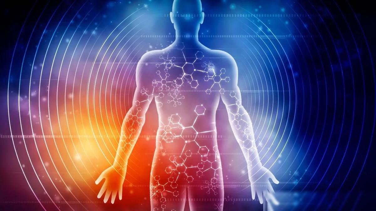 科学家发现，人体在长期断食期间会发生剧烈的体内变化，这类重大转变，得硬饿满整整三