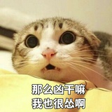 葱品品影视剧