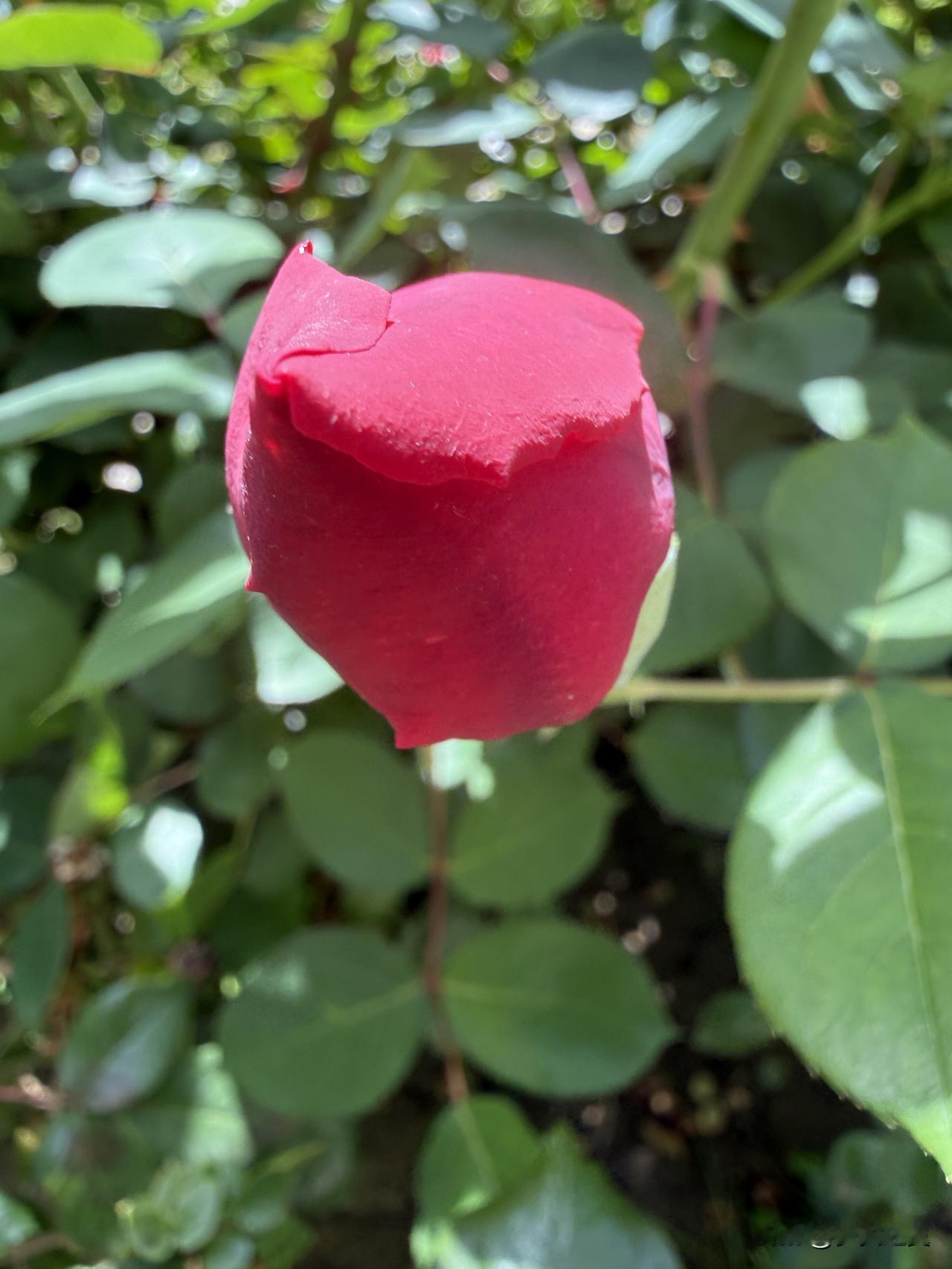 【小对联】
上：……？
下：启封。