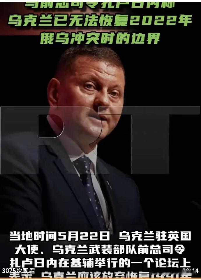 当地时间5月22日，乌克兰驻英国大使、乌克兰武装部队前总司令扎卢日内在基辅举行的