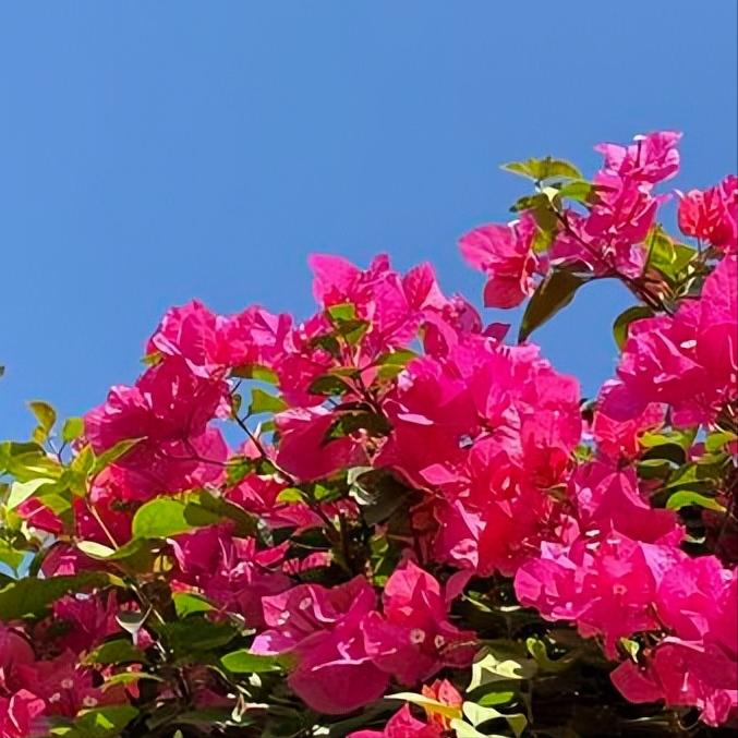 工学硕士张文彤履新
 
今天，今年57岁张文彤履新。
 
该同志是民建会员，曾获