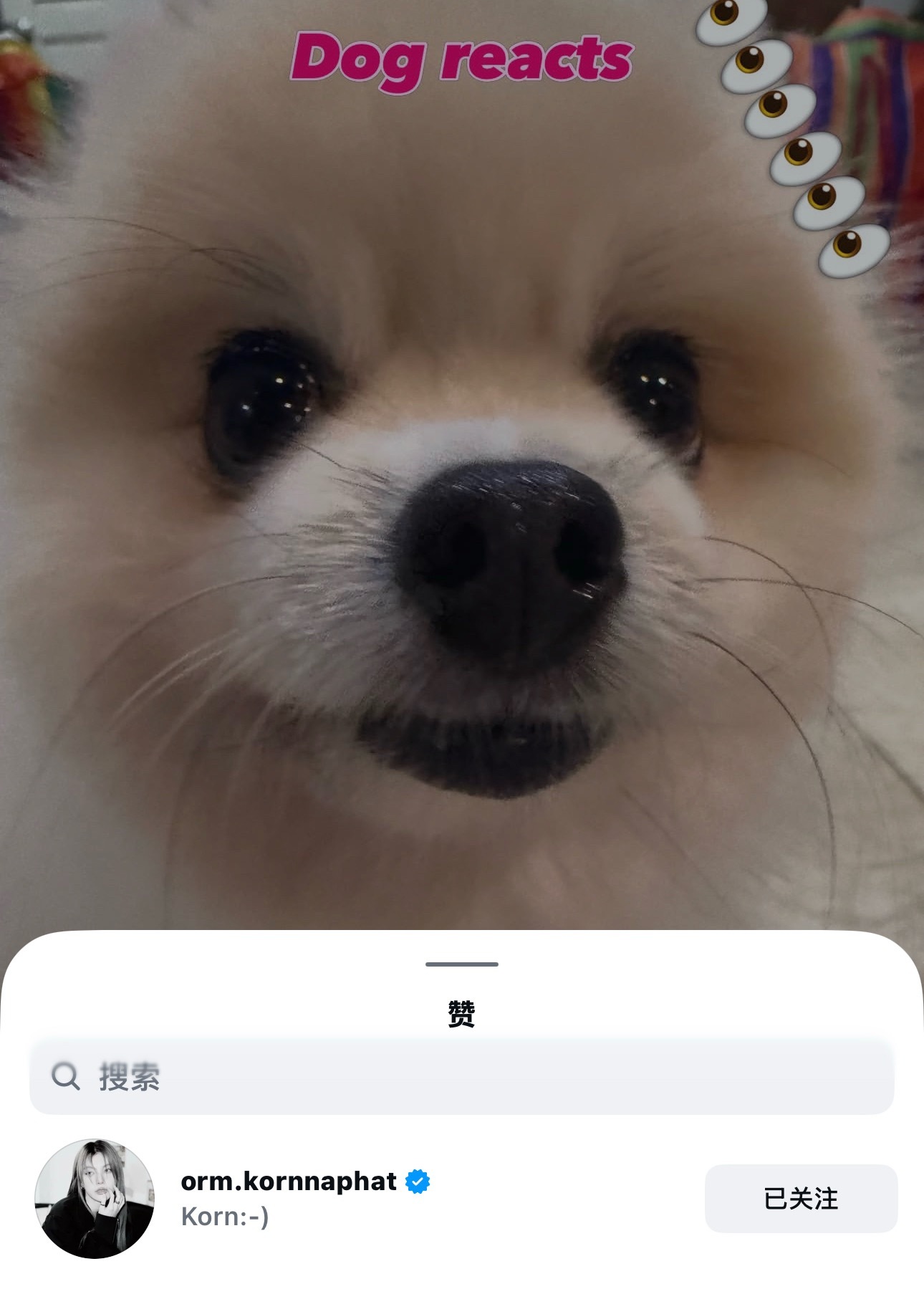 乌尼！！！ 