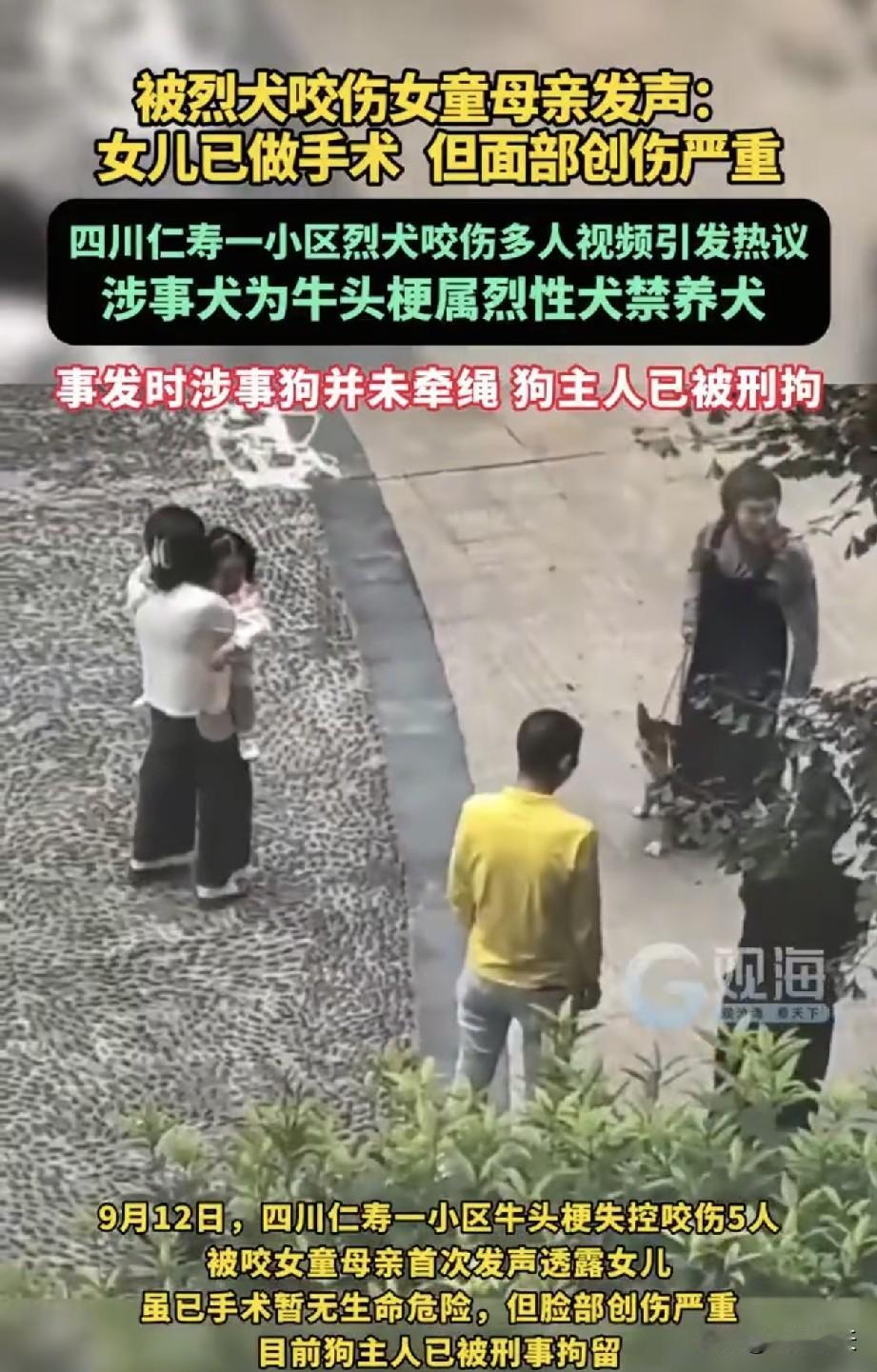 眉山被咬女孩母亲透露女儿近况，令人担心的事情还是发生了。
9月12号在四川眉山寿