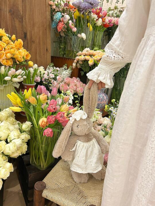春日花房 开始迎接三八女神节啦 ｜泗洪花店