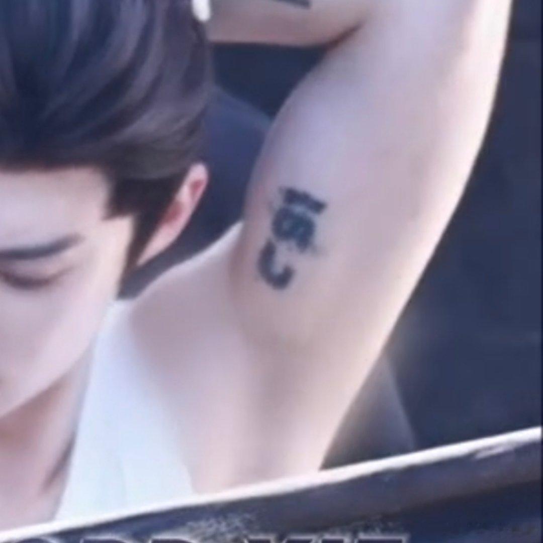 蒂蒂是小白虎 