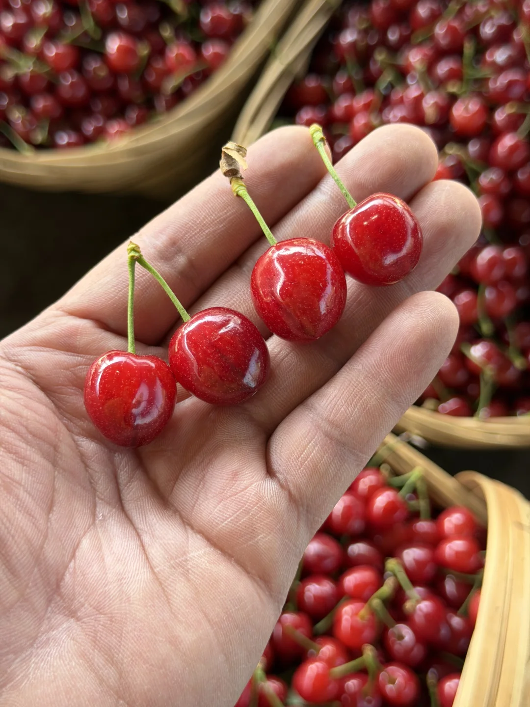 倒计时4天，能看到的随缘了，错过了我也没法