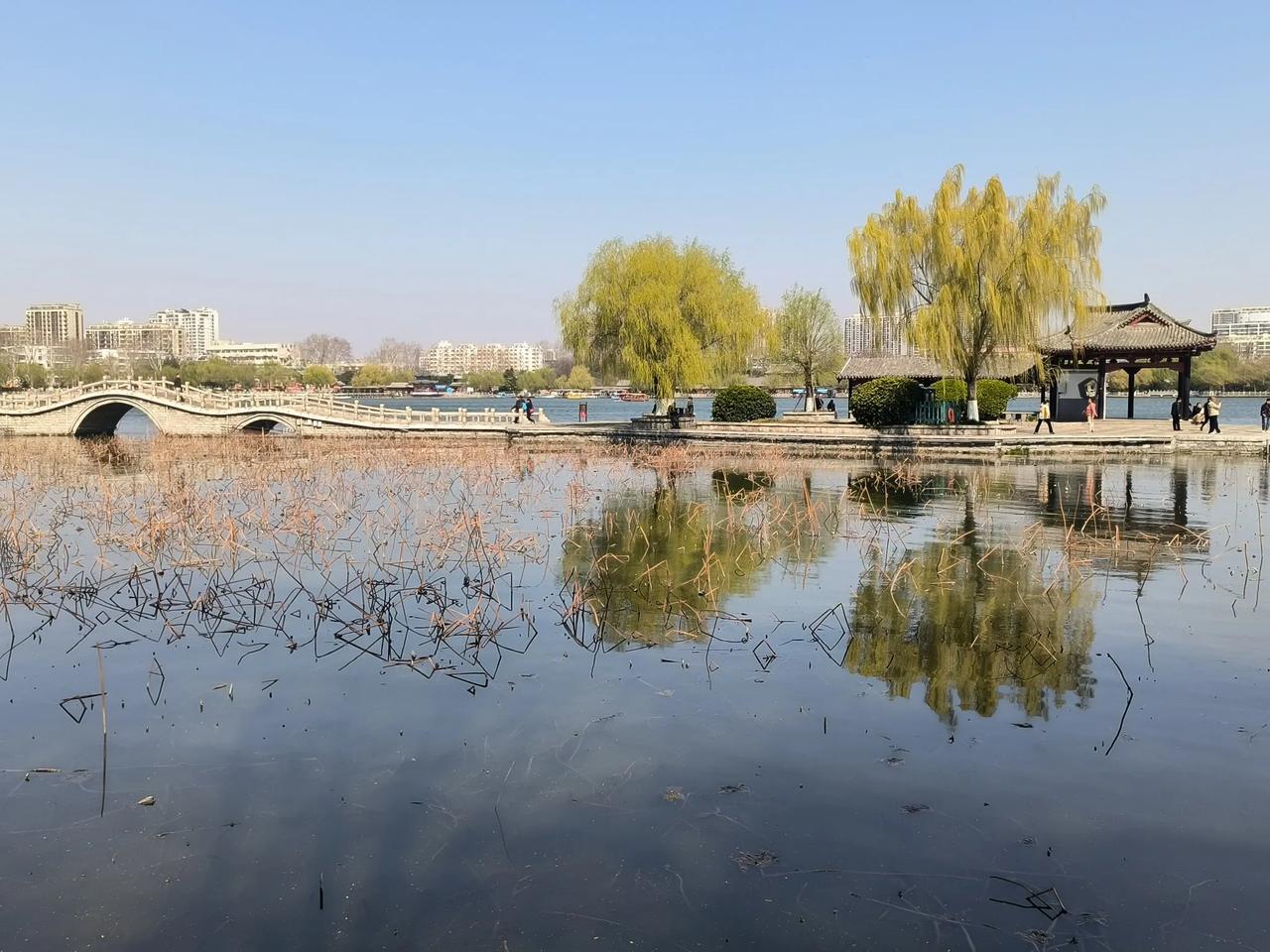 今生五次下江南（2）大明湖，济南老百姓的福地！

尽管大明湖不好与杭州西湖相比较