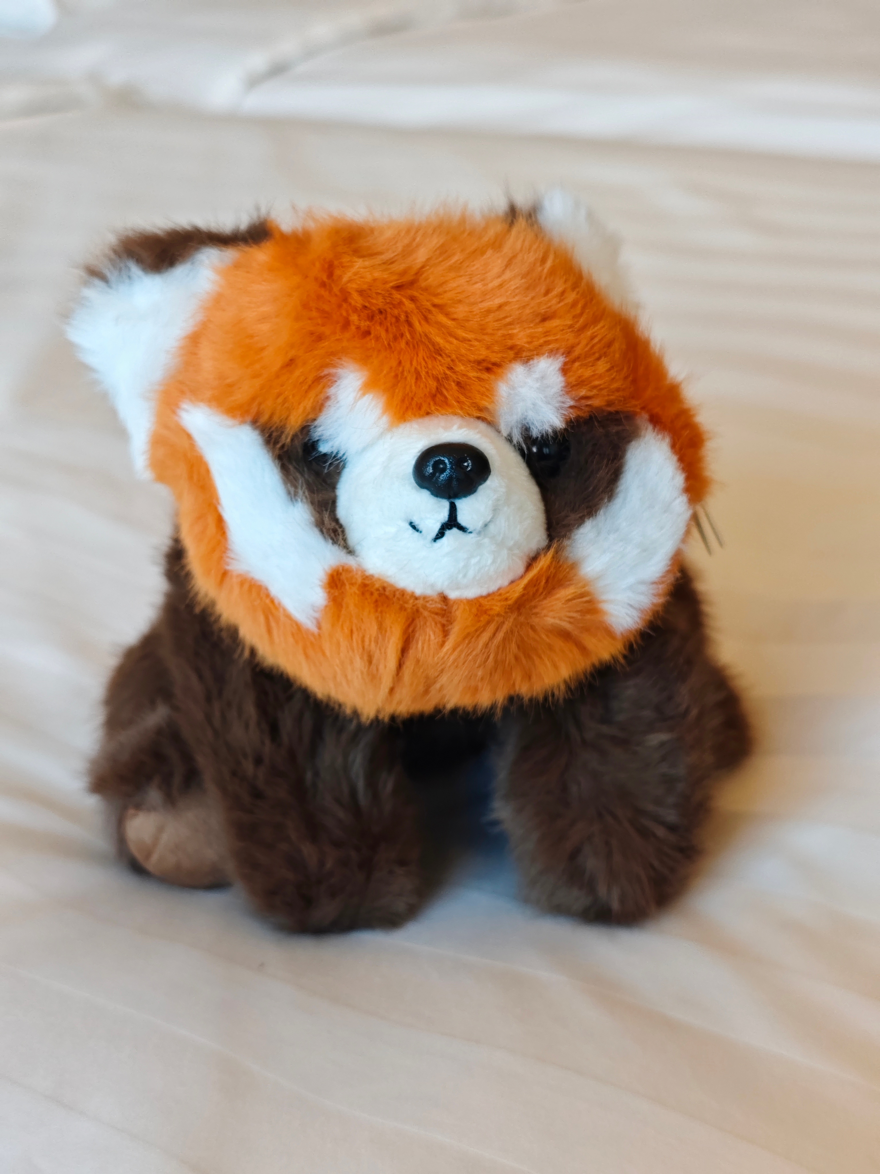 我得十多年没来苏州了，， 苏州·苏州园区香格里拉大酒店