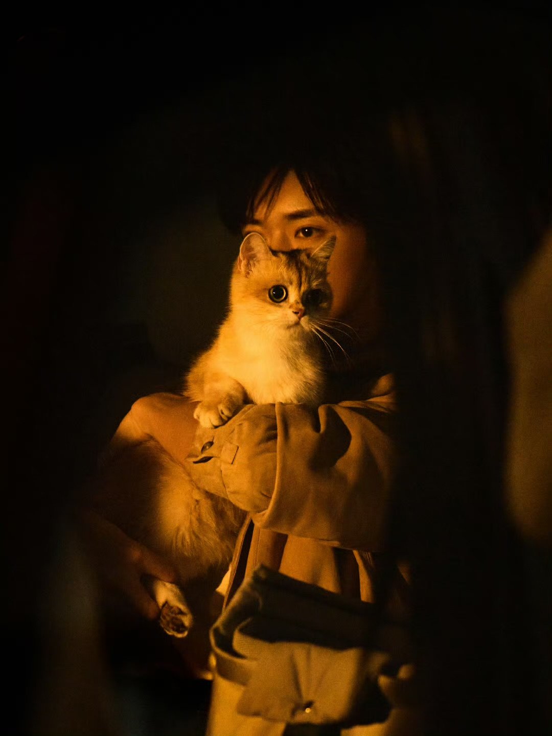 易烊千玺大猫和小猫简未斯猫塑四四，好可爱 ​​​