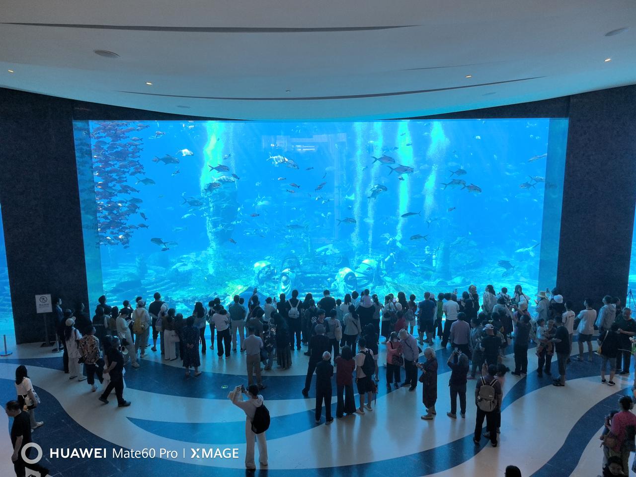 今日份亚特兰蒂斯酒店