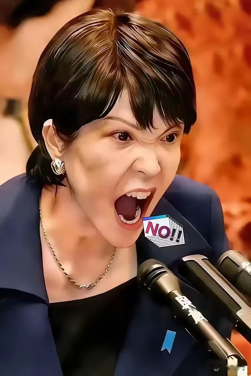 就在所有人都觉得该收手的时候，两个日本巨头，三菱和索尼，突然在中国市场砸下了重注