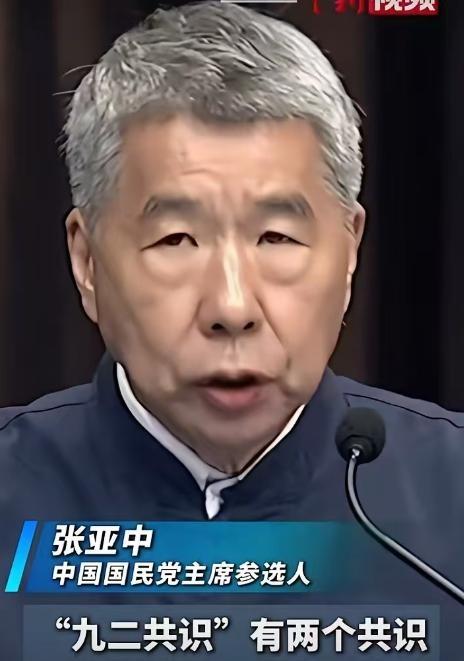 “九二共识”指的就是“一个中国”原则，而张亚中却曾经打着一个中国原则的旗号，却歪
