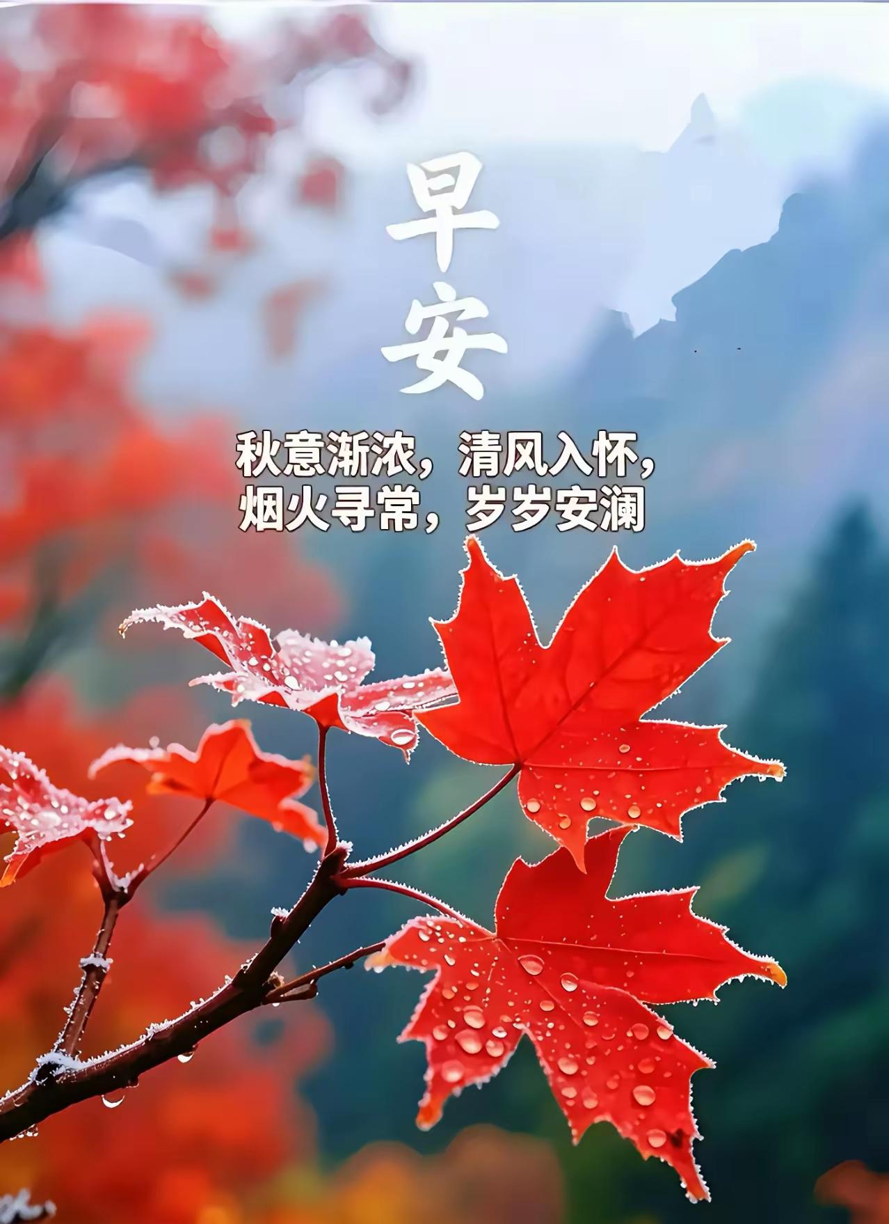 早安！秋意浓了，枫叶红透啦，愿清风入怀，岁岁都安澜。
晒图笔记大赛