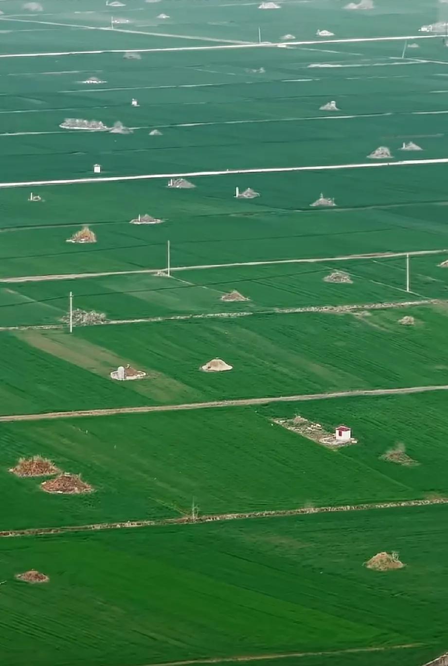 这也许就是不推行土葬的原因吧？