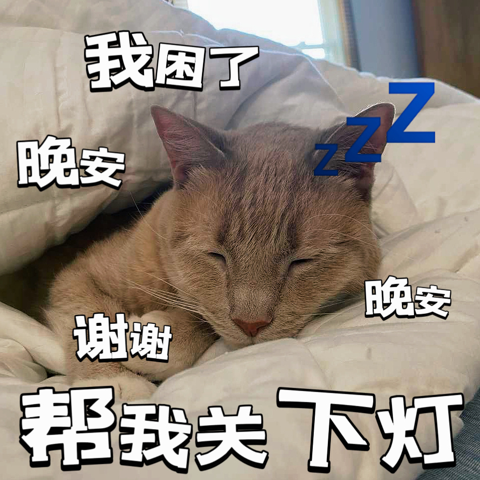 太困了🥱本宫要去眠一眠😴 😴😴如果能起来也许还能吃点🍇🍉