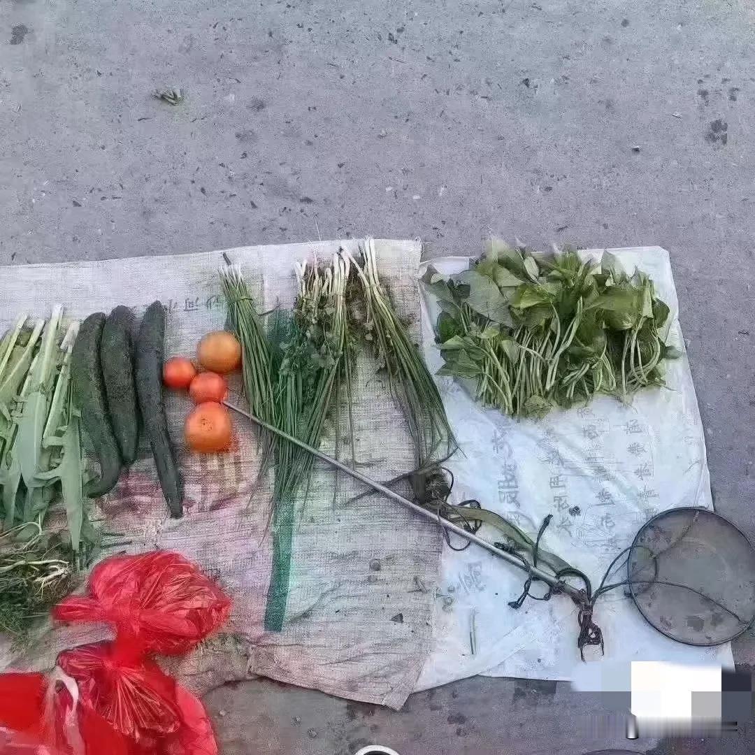 很多人都不知道，市面上做生意早就不允许用杆秤了。路边摆摊的老大爷，挑着自家小菜园