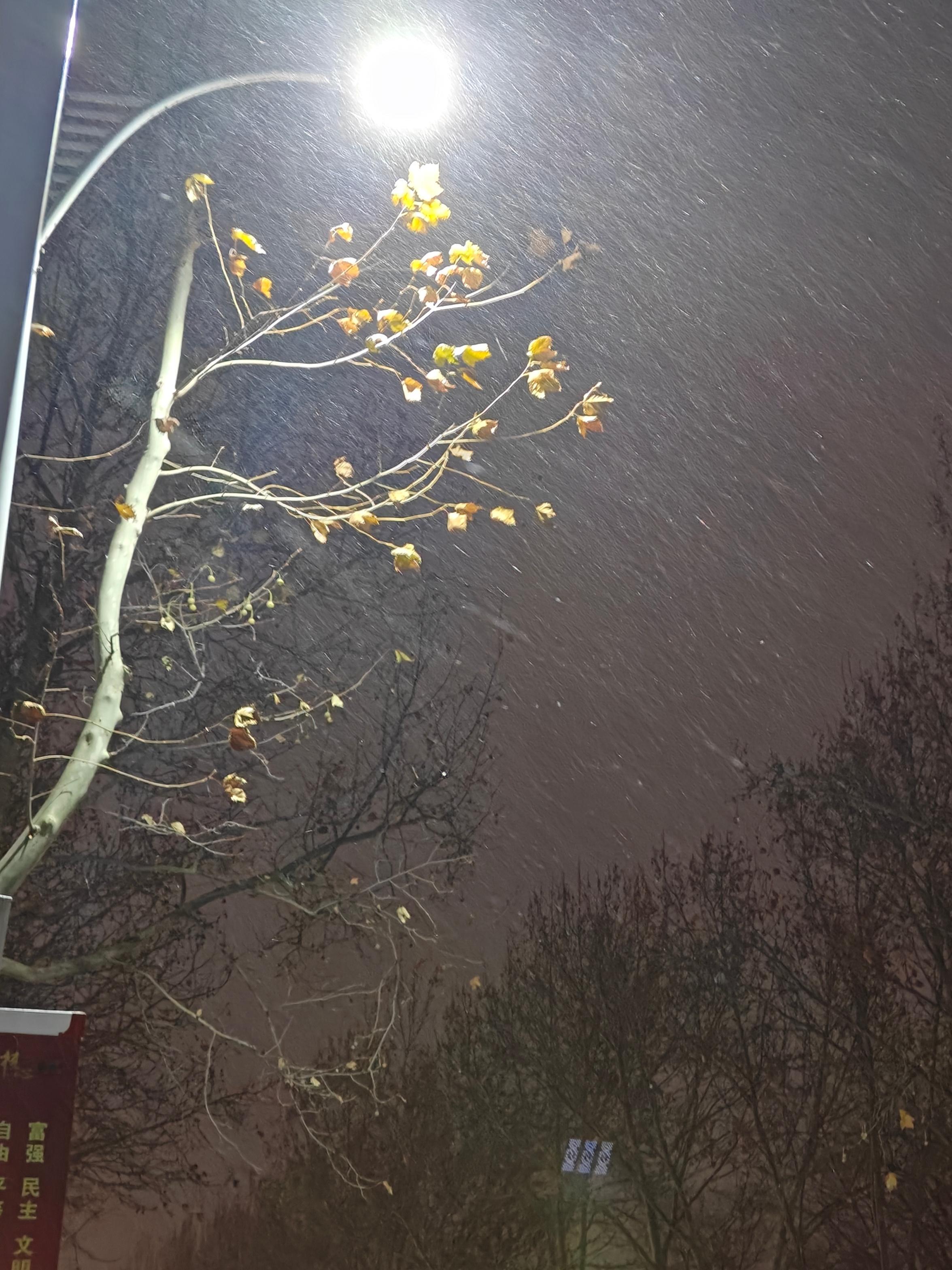 下雪了！！！！！ 